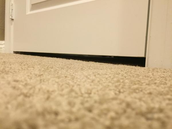 Once fitted a fire door will last forever. Surely?